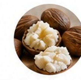 Shea Butter