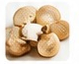 Mushrooms
