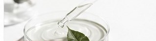 The Power of Centella Asiatica in Skin Repair