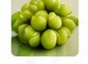 Kakadu Plum